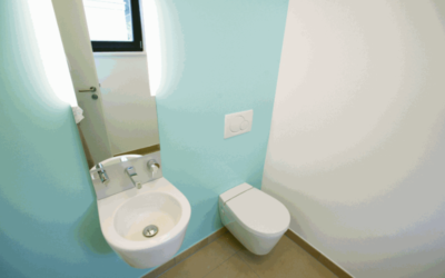 Remodeling Your Bathroom: Choosing Your New Toilet