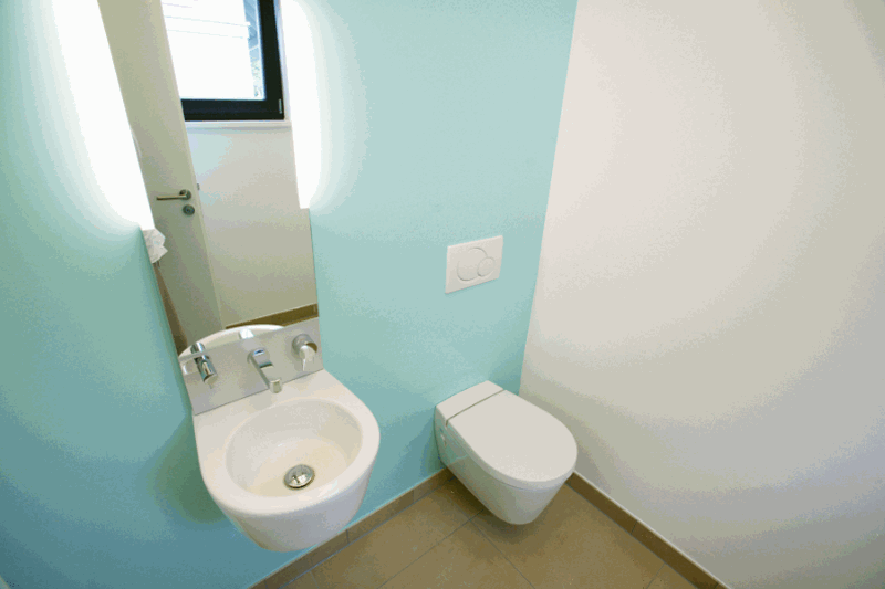 remodeling your bathroom - choosing your new toilet